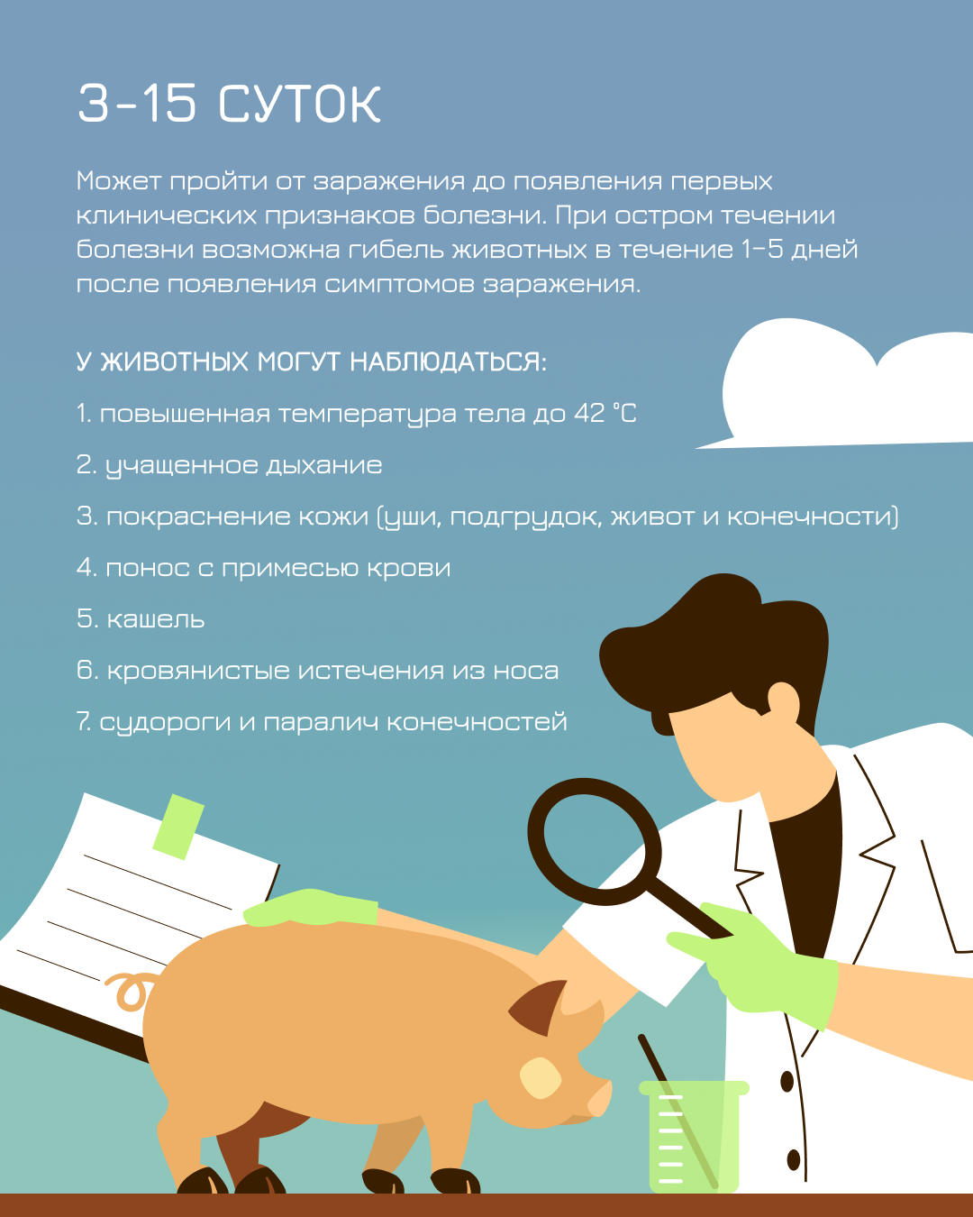 Чума свиней.