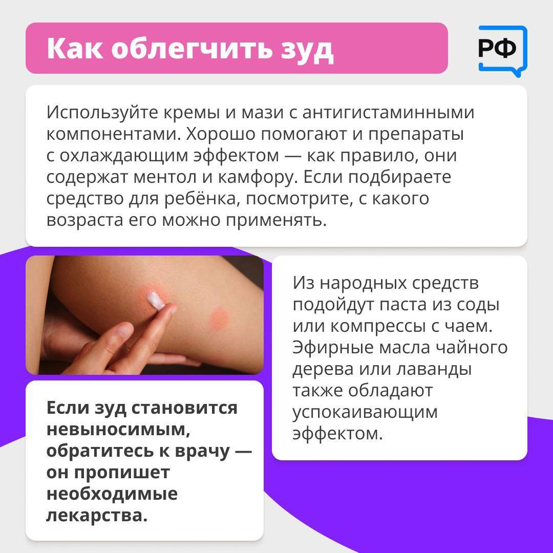 что нужно знать об укусах комаров.