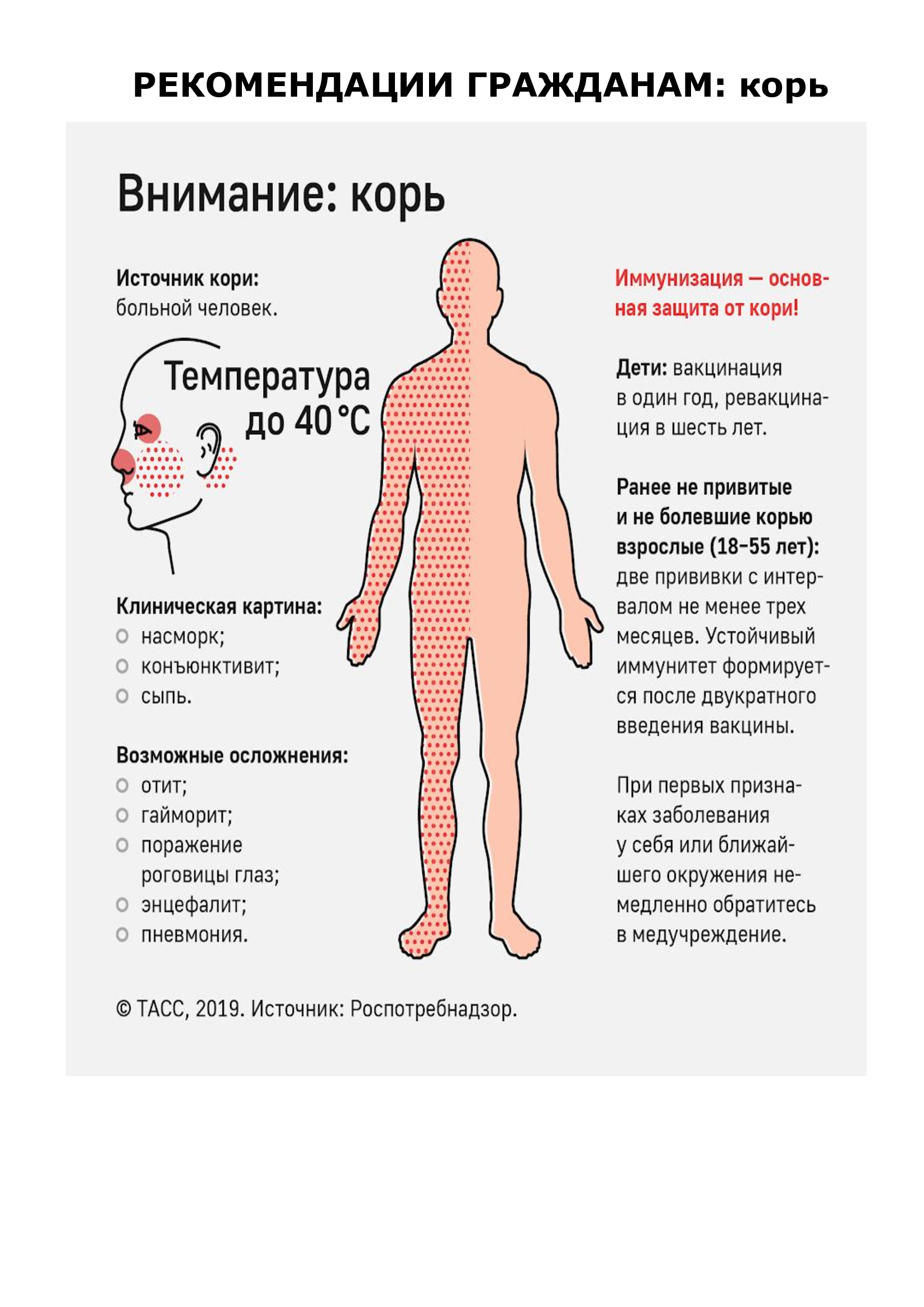 Внимание: КОРЬ.