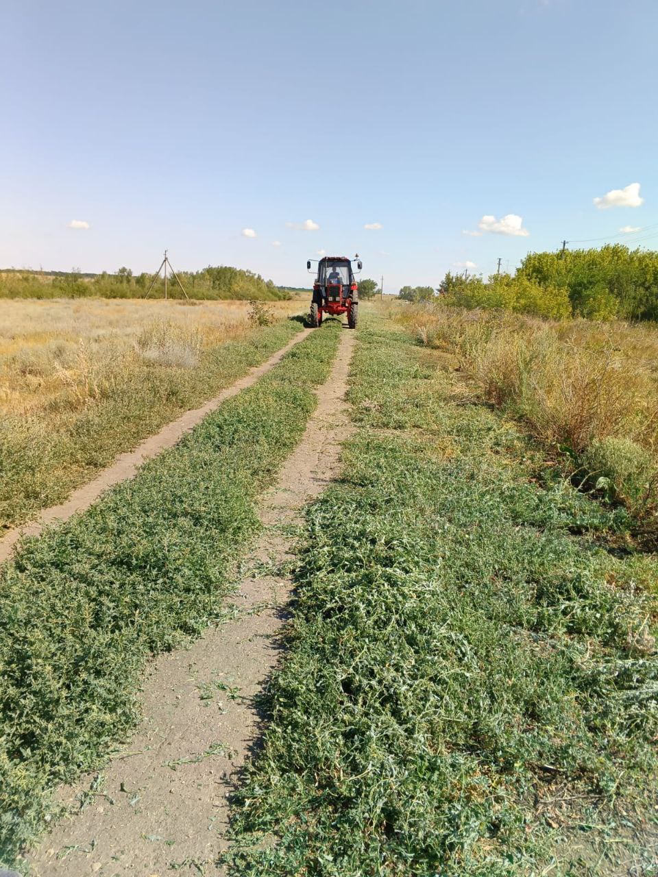 Покос сорной растительности.