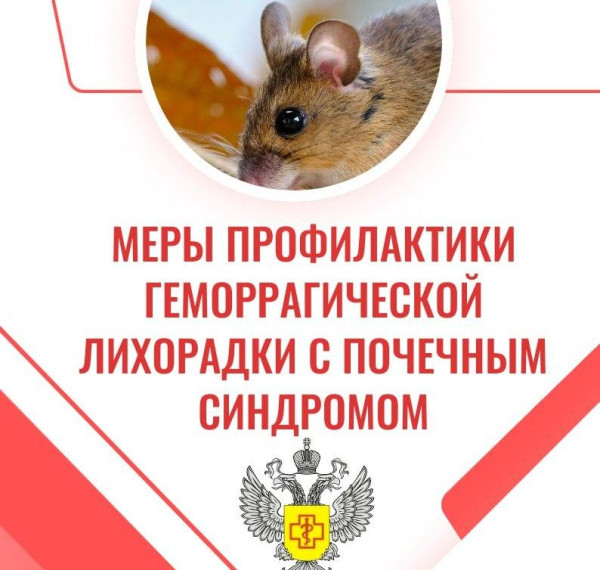 О профилактике геморрагической лихорадки с почечным синдромом в осенний период. О профилактике геморрагической лихорадки с почечным синдромом в осенний период.