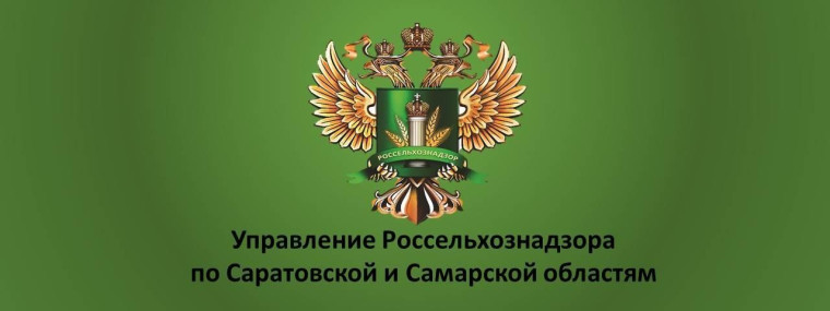 Управление Россельхознадзора по Саратовской и Самарской областям информирует.. Управление Россельхознадзора по Саратовской и Самарской областям информирует..
