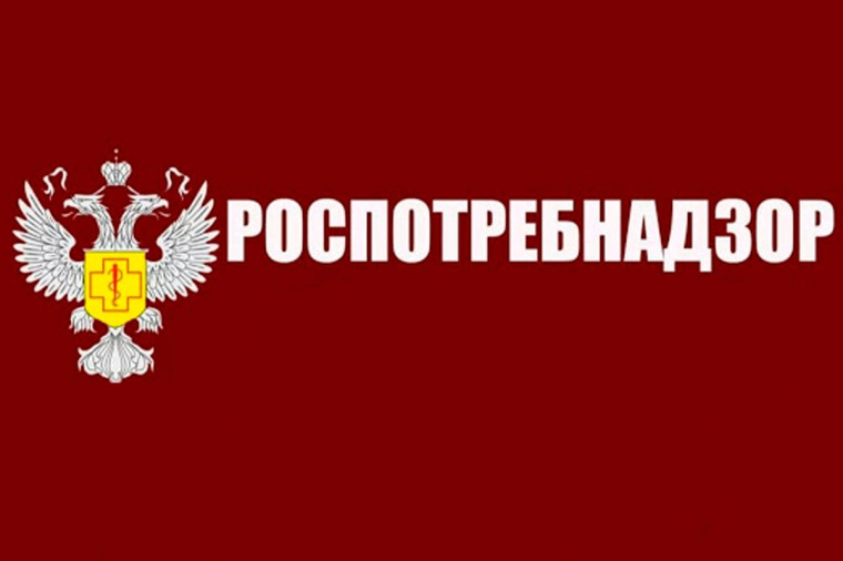 «Горячий линии» по вопросам детского отдыха.