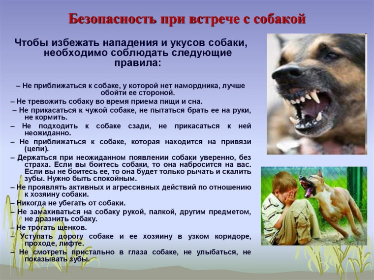 Постановлением Правительства Саратовской области от 06.04.2023 года №303-П. Постановлением Правительства Саратовской области от 06.04.2023 года №303-П.
